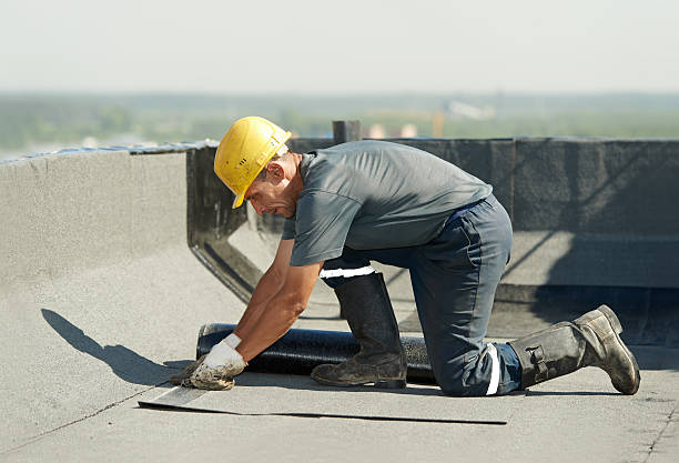 Insulation Repair Services in El Portal, FL